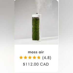 Moss Air Humidifier and Air Purifier